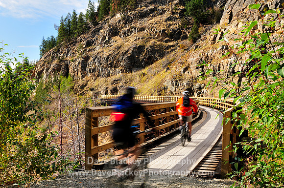 Cyclist Myra Canyon Trestle on old Kettle Valley Railway, Cyclists, biking, Myra Canyon Trestles, Kettle Valley Railway, Kelowna