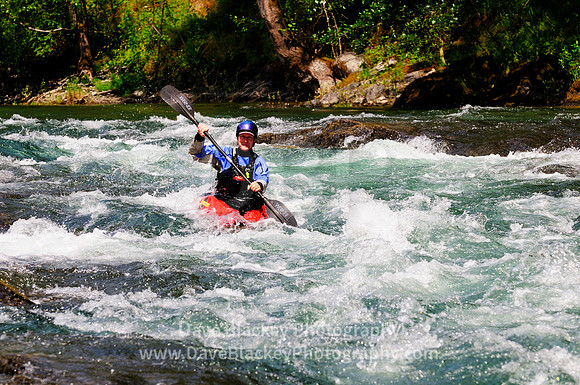 Cowichan River, white water kayaking, Skutz Falls, Lake Cowichan, BC