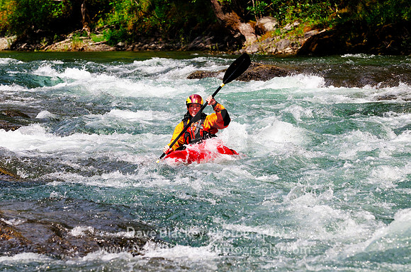 Cowichan River, white water kayaking, Skutz Falls, Lake Cowichan, BC