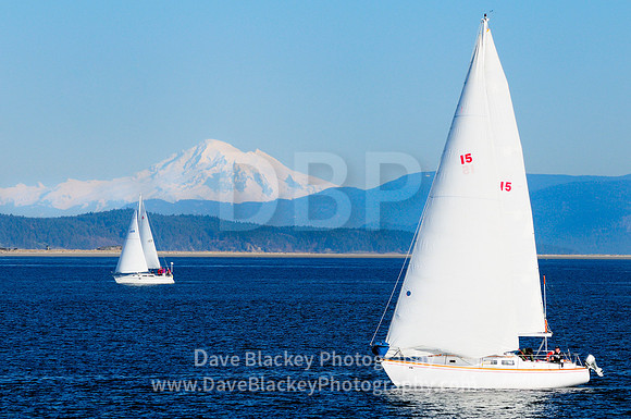 Sidney, sailing, two sailboats, Mt. Baker, recreation, lifestyle