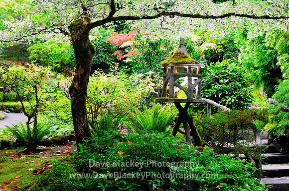 Japanese Garden Butchart Gardens lantern