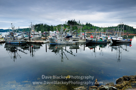 northern fishing fleet Port Hardy fishing boat