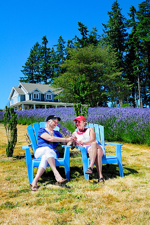 Cobble Hill, Damali Lavender Farm, lavender, recreation, lifestyle