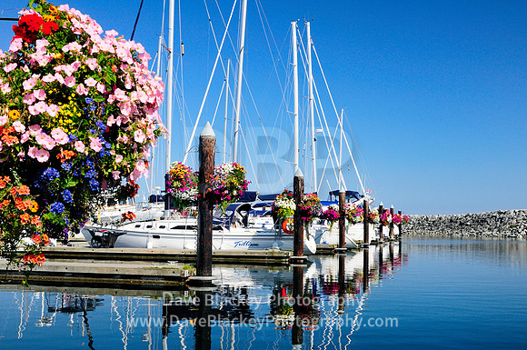 Port Sidney Marina Sidney BC., flower baskets