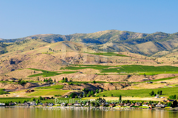 Chelan Lake, Washington State, farmland, orchards