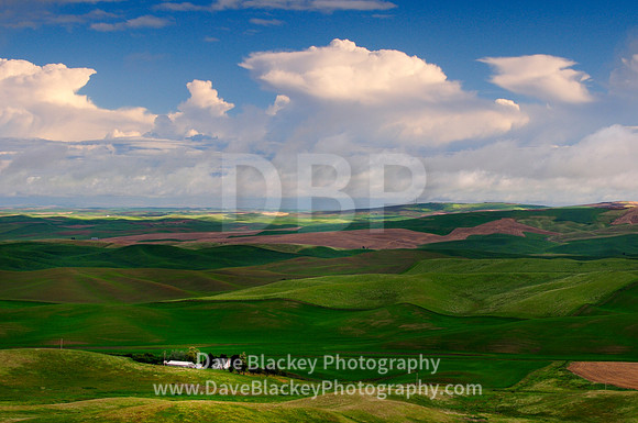 Palouse, Washington State, rolling farmland, farm