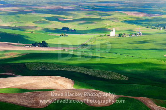 Palouse, Washington State, rolling farmland, farm, silo