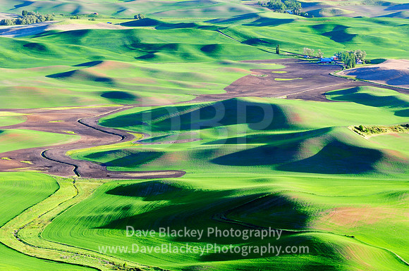 Palouse, Washington State, rolling farmland, farm