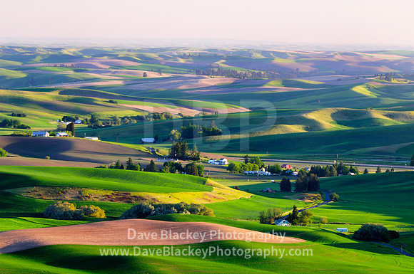 Palouse, Washington State, rolling farmland, farm