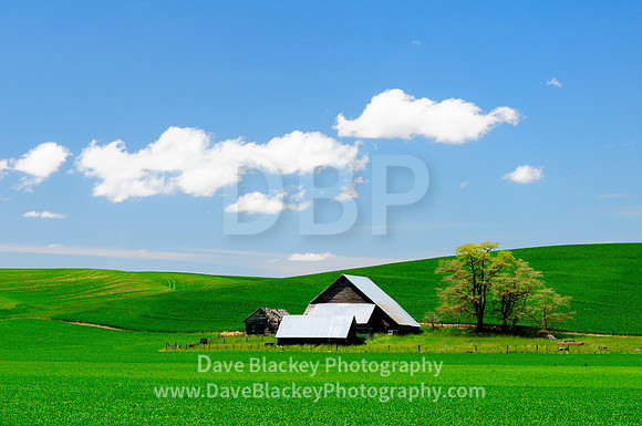 Palouse, Washington State, rolling farmland, farm, barn