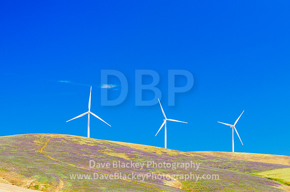 Wind turbines, Washington State, hillside