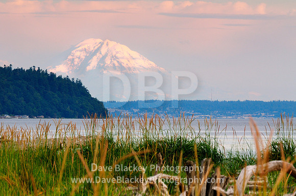 Mt. Rainier, Useless Bay, Whidbey Island, Washington State