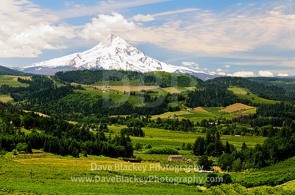 Mt. Hood, Hood River, Hood River Valley Oregon, farmland, orchards