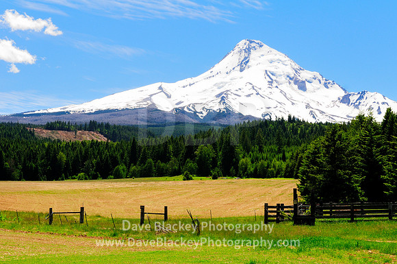 Mt. Hood, Hood River Valley, Oregon, farmland