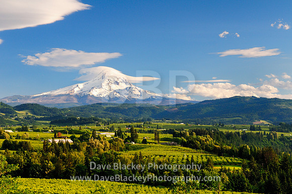 Mt. Hood, Hood River, Oregon, farmland, orchards