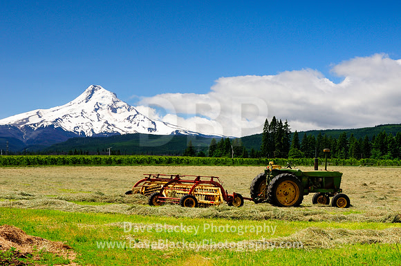 farm tractor, Mt. Hood, New Holland Rolabar Rake, field Parkdale, Oregon, farm tractor