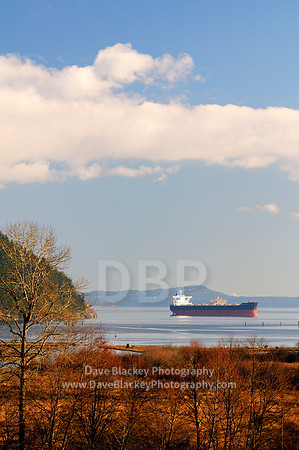 freighter, Zampa Blue, anchored, Cowichan Bay