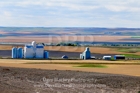 Milo, Alberta,gGrain elevators, prairie, wheat