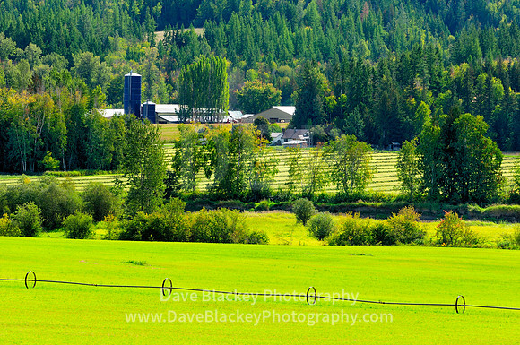Silo farm irrigation system farmland with rows of cut hay between Mabel Lake and Enderby, Silo, farm, irrigation system, farmland, Enderby, Mabel Lake