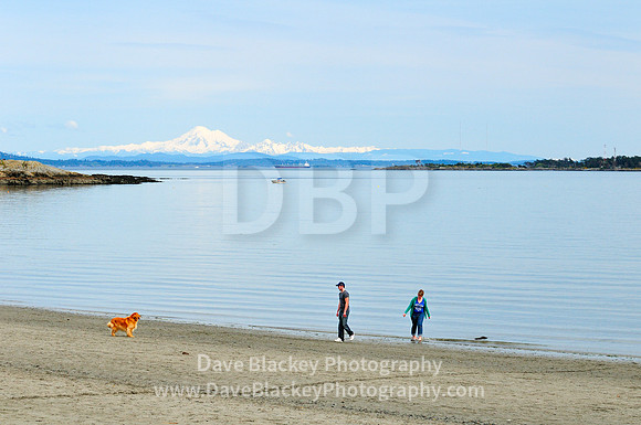 Willows Beach, Oak Bay, beach, Victoria, recreation, lifestyle