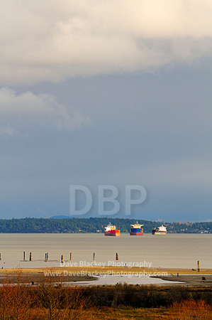 Three freighters at anchor in Cowichan Bay, BC.