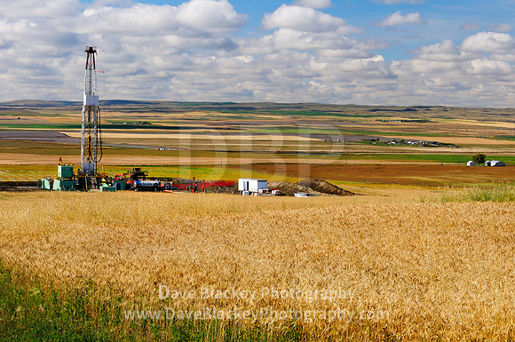 Milo Rig Dave Blackey Photography | Alberta | Photo 11
