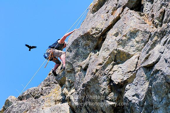 rock climbing, man rock climbing Macaulay Point Park, summit