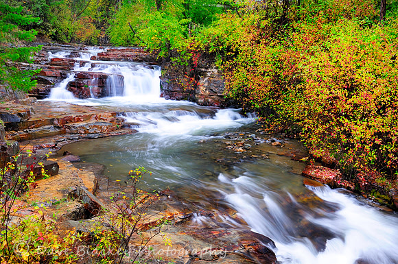 Mark Creek, Marysville Falls, Marysville, BC., fall colours,