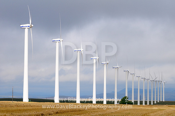 Pincher Creek, Alberta, Vestas, wind turbines, power