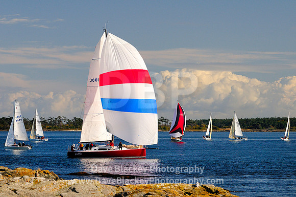 Cattle Point, sailing, regatta, Royal Victoria Yacht Club - Cadboro Bay