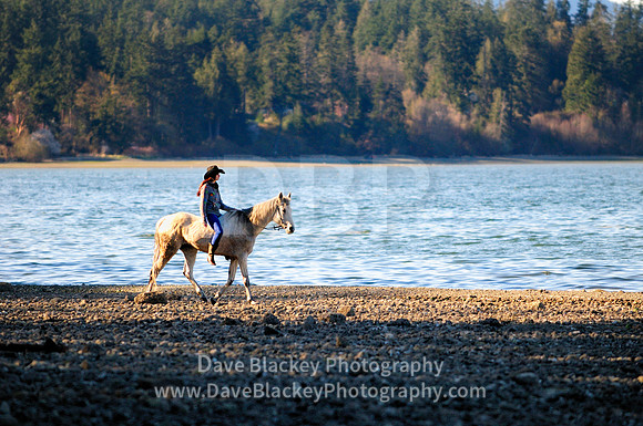 woman Bareback riding horse beach ocean Satellite Channel, Cobble Hill, BC