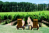 Navarro Vineyards, Philo, California, two chairs, bottle of wine, vineyard