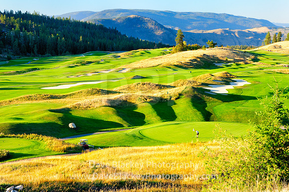 Predator Ridge Golf Course green putting fairways flag stick in Vernon, Predator Ridge Golf Course, man putting out, golf, Vernon, BC