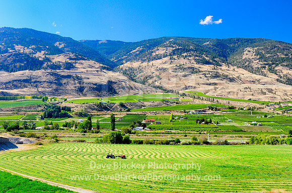Osoyoos, haying a field, tractor