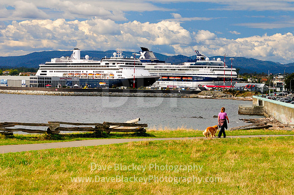 Zaandam and Celebrity Mercury, Victoria, Ogden Point