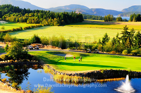 Golfing Arbutus Ridge Cobble Hill