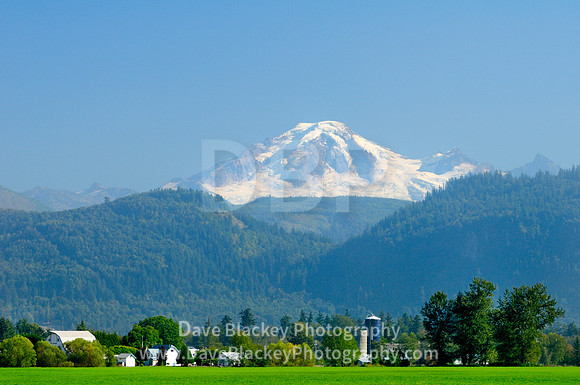 Farms, barns and silos in Abbotsford BC with Mt. Baker, Abbotsford, BC, Mt. Baker, farms, barns and silos