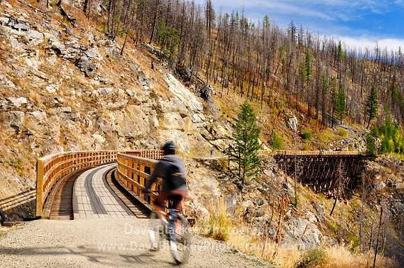 Cyclist Myra Canyon Trestle #14 on old Kettle Valley Railway, Cyclist, biking, Myra Canyon Trestles, Kettle Valley Railway, Kelowna
