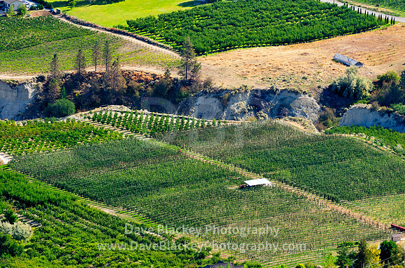 Summerland and orchards from Giant's Head Park, Orchards, Summerland