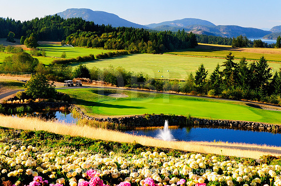 Golfing Arbutus Ridge Cobble Hill
