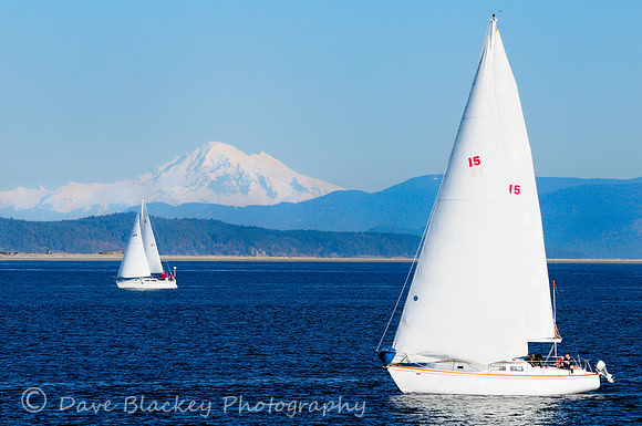 Two sailboats near Sidney BC with Mt. Baker Washington State