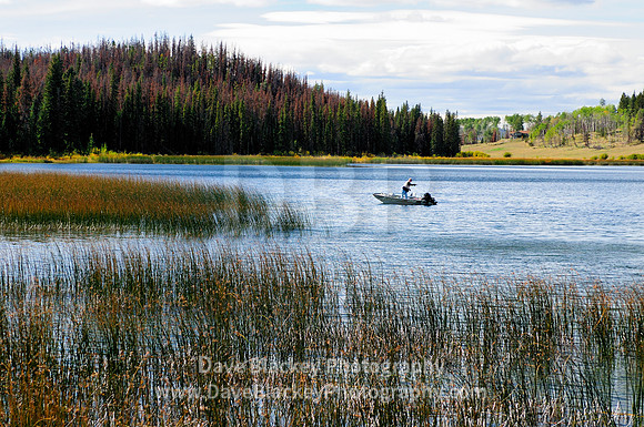 Kamloops, Lac Le Jeune Lake, fly fishing, recreation, lifestyle