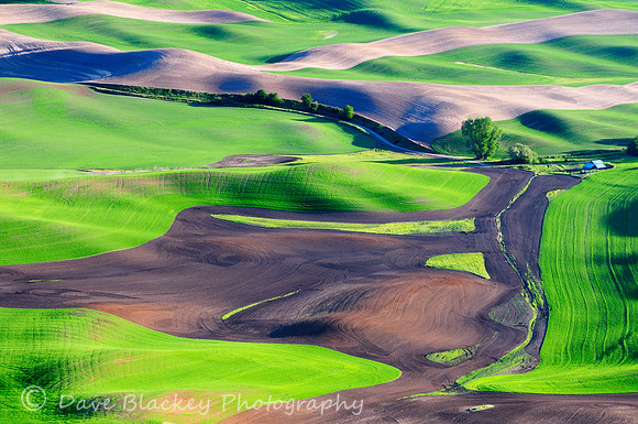 Palouse, rolling farmland, farm, Washington State